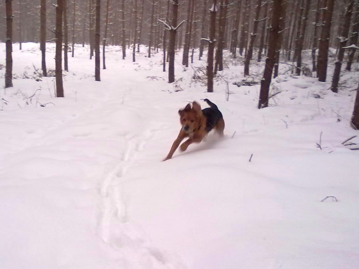 201202171821.jpg