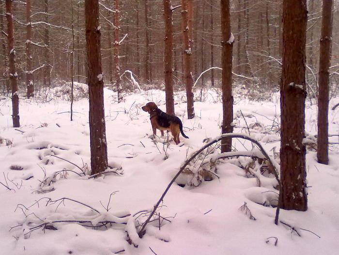 201202171822.jpg