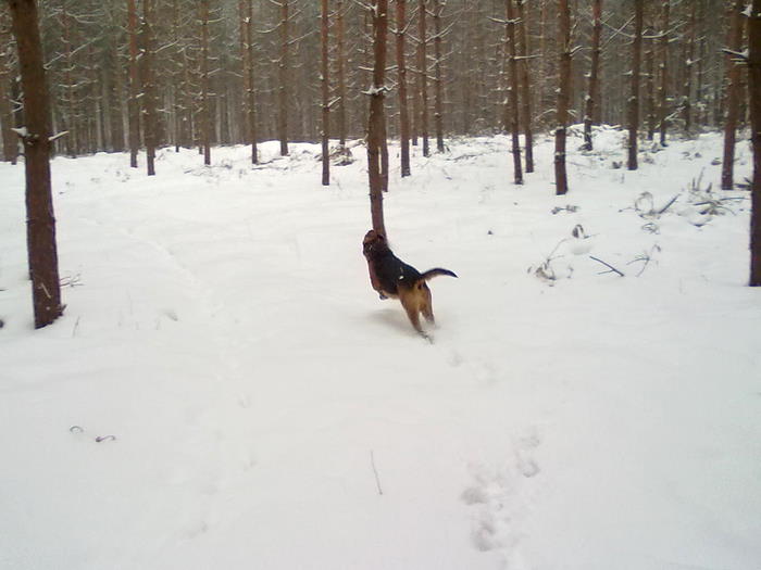 201202171823.jpg