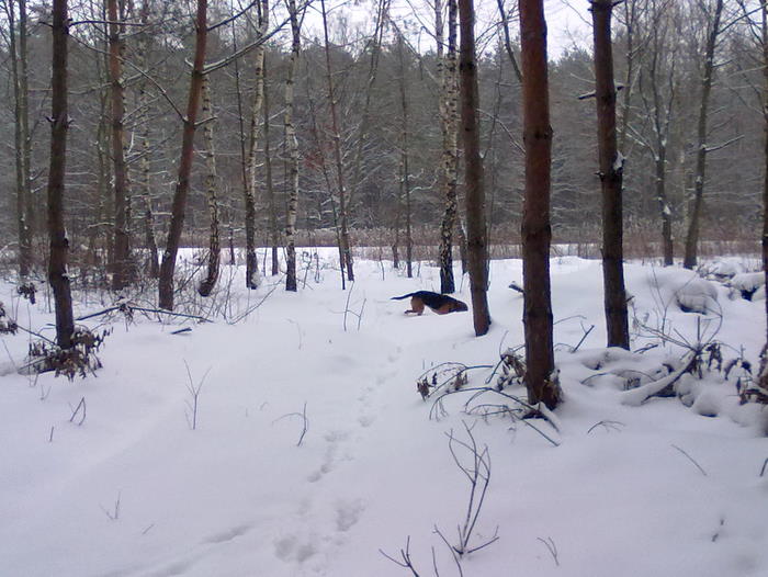 201202171826.jpg