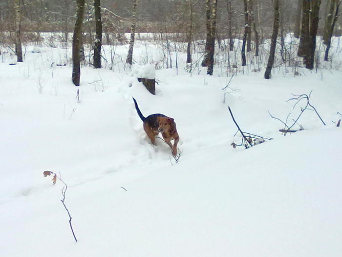 201202171827.jpg