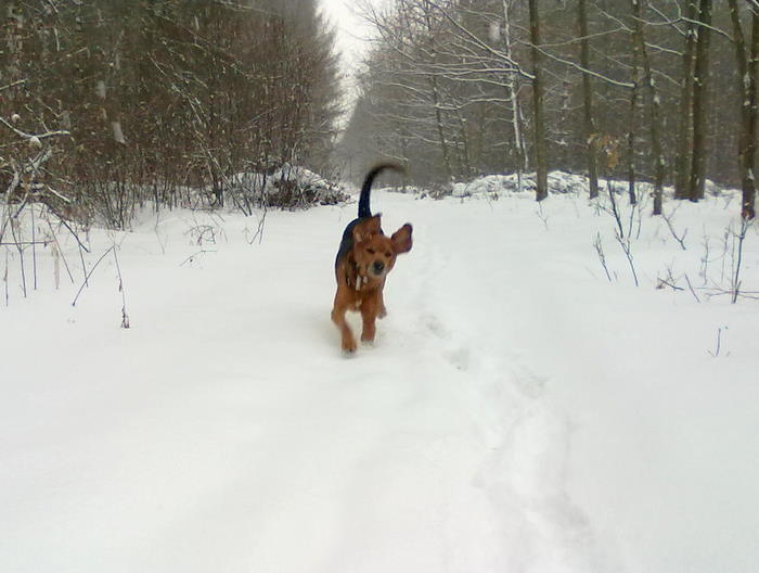201202171832.jpg