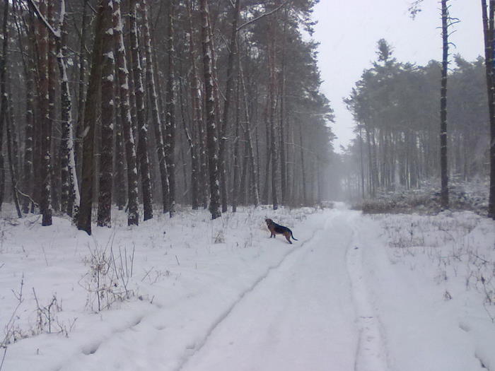 201202171837.jpg