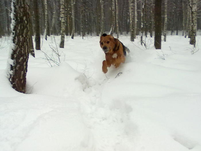 201202171846.jpg