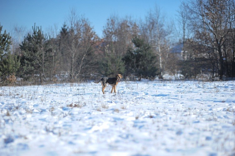 DSC_4155.jpg