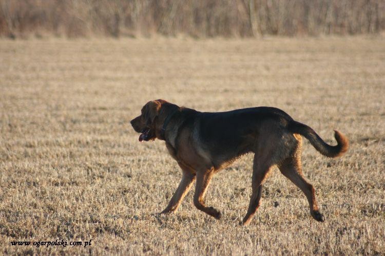 Model na włościach.