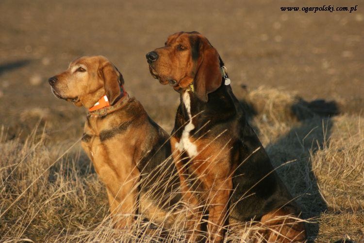 luty 2012 228.jpg
