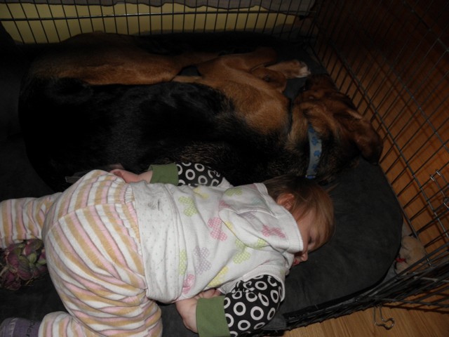P1230060.JPG
