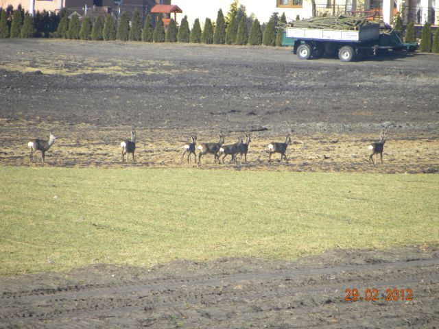 Luty 2012 307.jpg