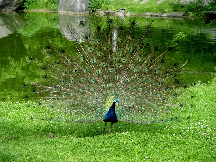 DSC02205_zmień nazwę.JPG