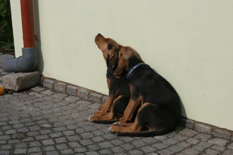 maluchy 024.jpg