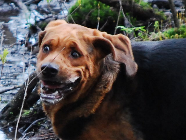 CSC_0091.JPG