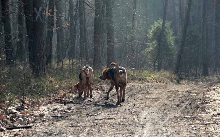 Ty Coda jakiś fotoreporter ciągle za nami idzie ... pokaż mu język ...