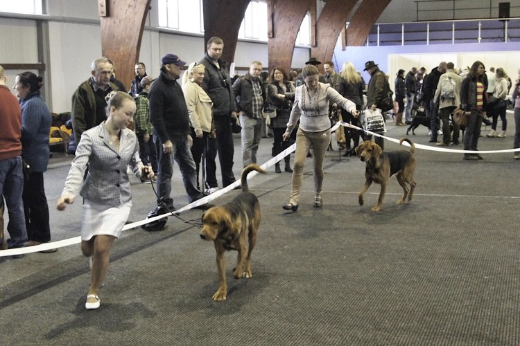 Runo i Puszkar