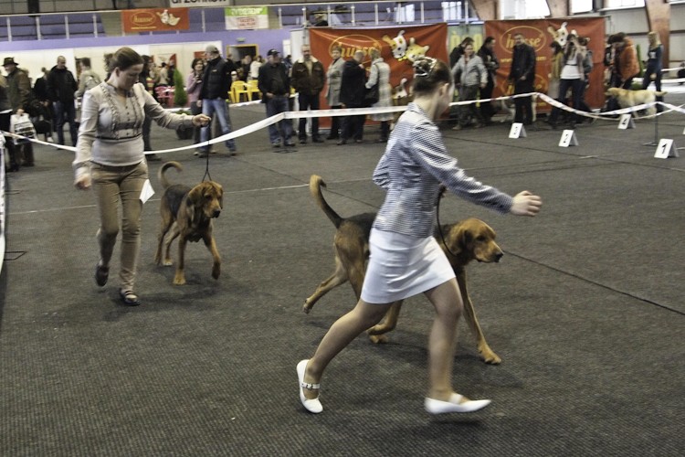 Runo i Puszkar