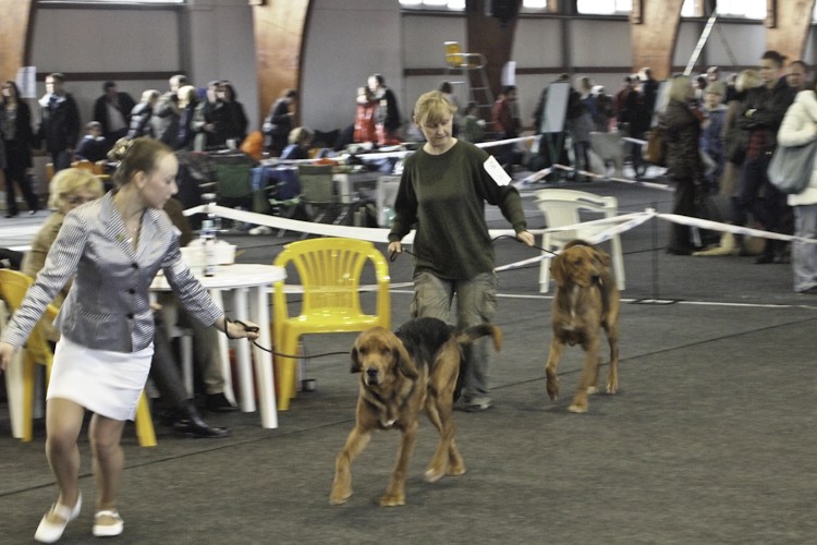 Runo i Calvados