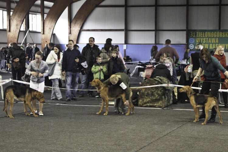 Runo, Calvados i Szajka