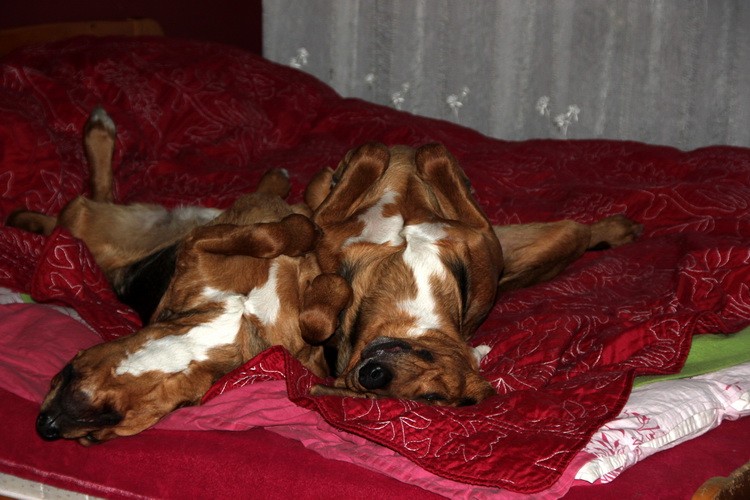 IMG_2552_zmień nazwę.JPG