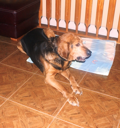 Karo marzec 2012 2.JPG