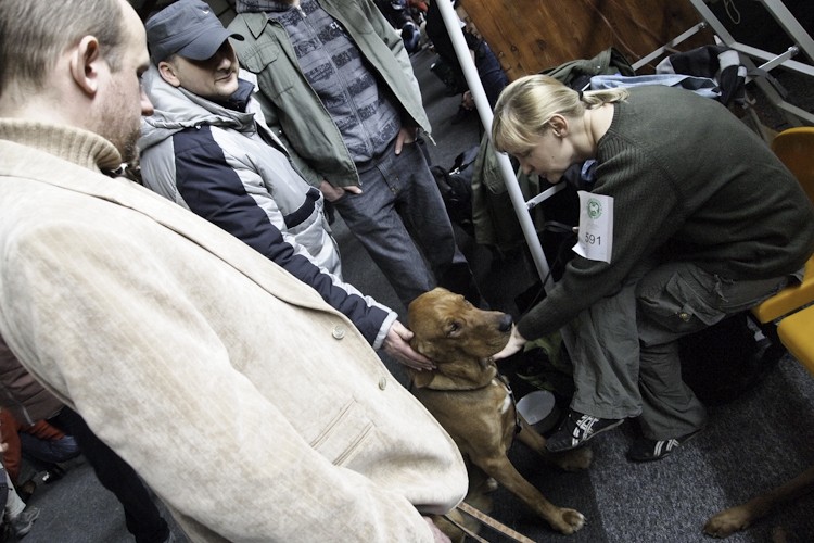 Jeszcze raz mnie pociągnie za ucho i przypomnę sobie, że jestem psem!