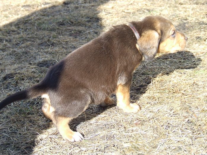 DSCF2945.JPG