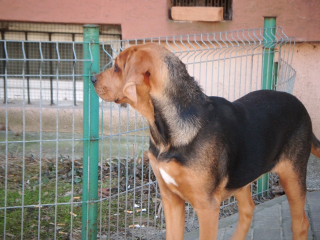 DSCF0069.JPG