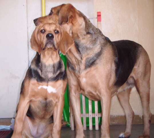 DSCF0072.JPG