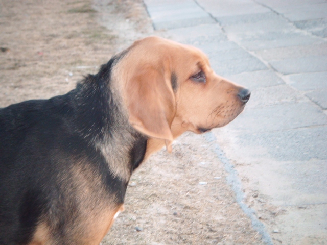 DSCF0078.JPG