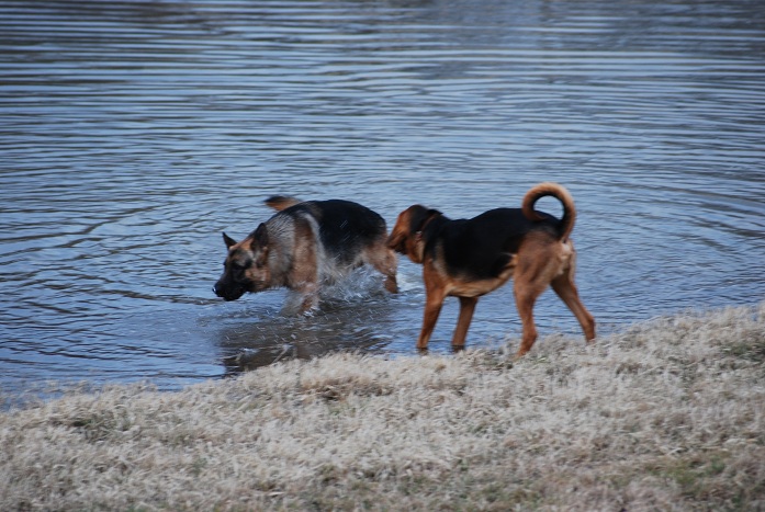 DSC_0691.JPG