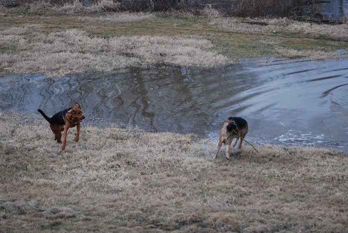 DSC_0694.JPG