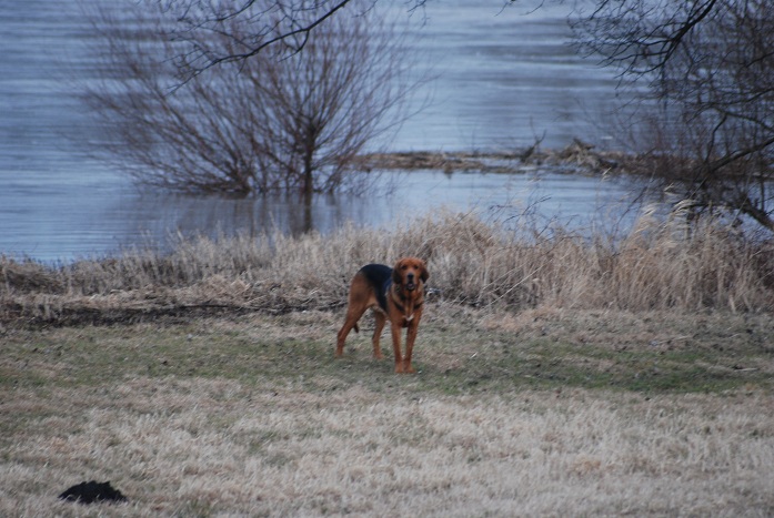 DSC_0698.JPG