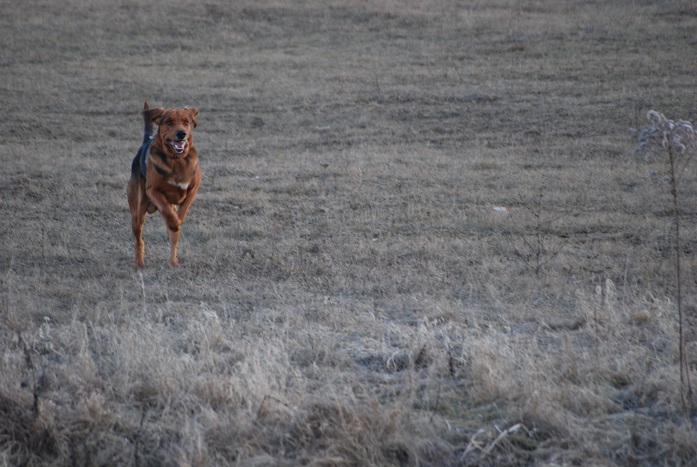 DSC_0131.JPG