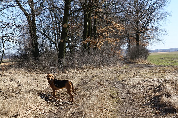 Spacer relaksacyjny przed wystawą