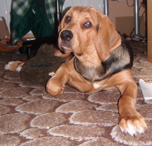DSCF0064.JPG