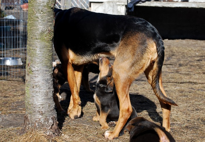 Ktoś zakręcił mleko ;)