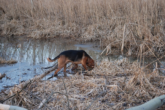 DSC_0213.JPG