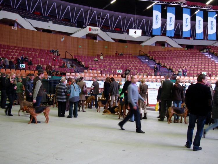 DSC02235_zmień nazwę.JPG
