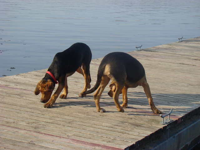DSC07697.JPG