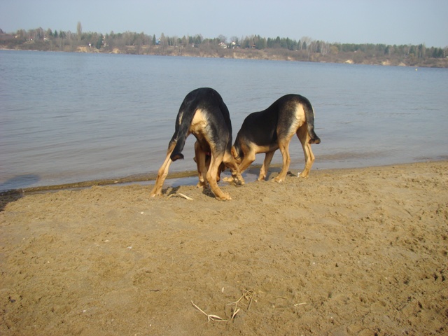 DSC07680.JPG