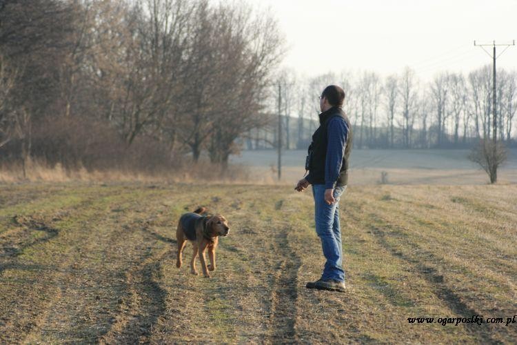 wiosna 2012 032.jpg