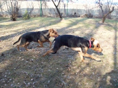100_1646.JPG