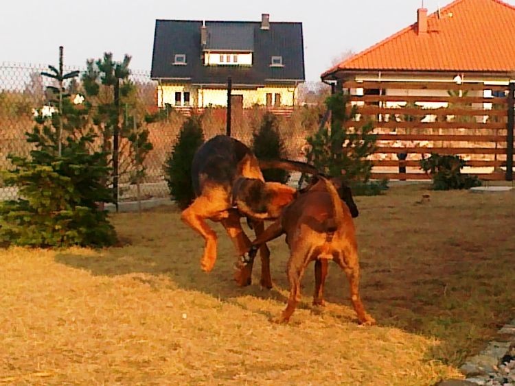 20120318622.jpg