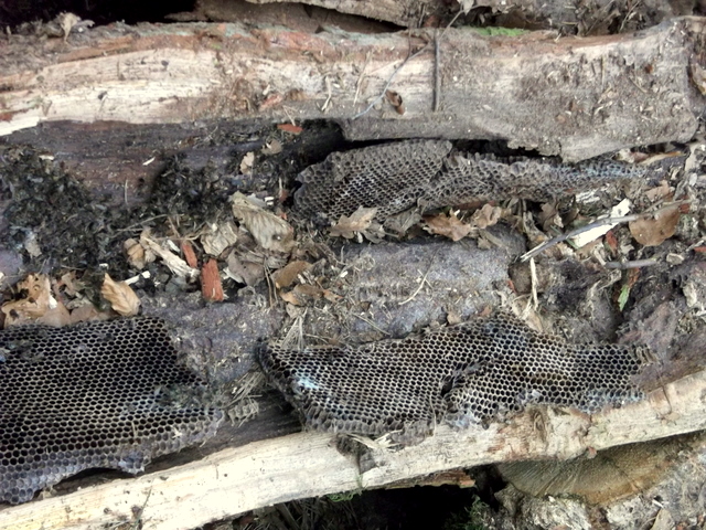 DSCF9298.JPG