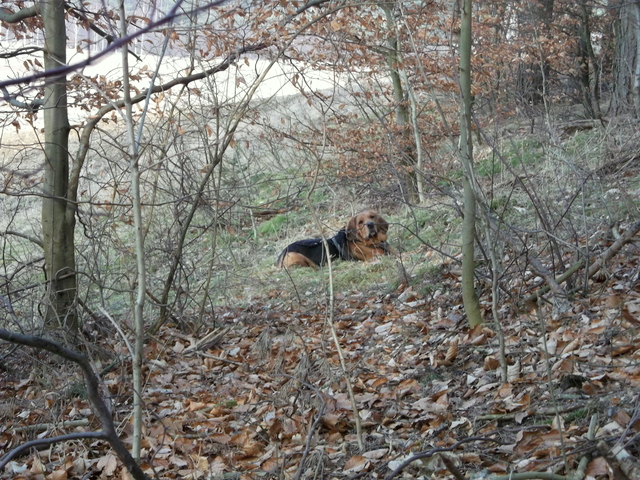 DSCF9320.JPG