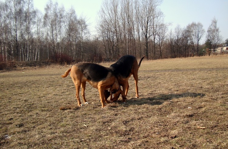 DSC02242_zmień nazwę.JPG