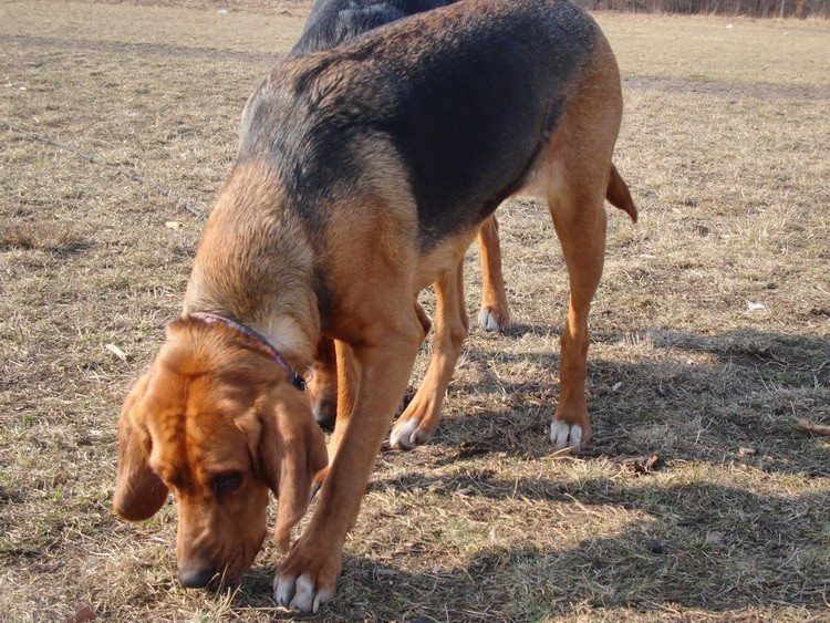 DSC02243_zmień nazwę.JPG