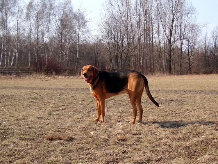 DSC02246_zmień nazwę.JPG