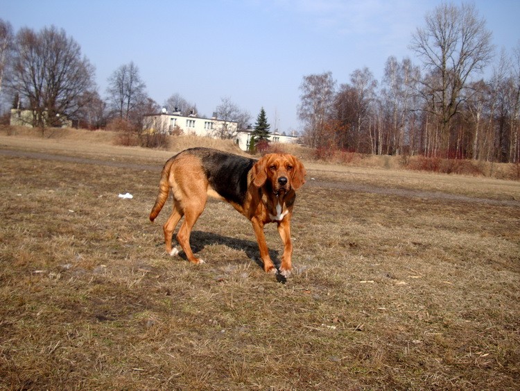 DSC02247_zmień nazwę.JPG