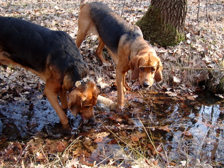 DSC02265_zmień nazwę.JPG