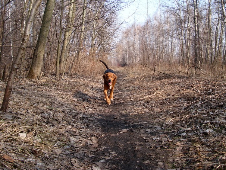 DSC02263_zmień nazwę.JPG